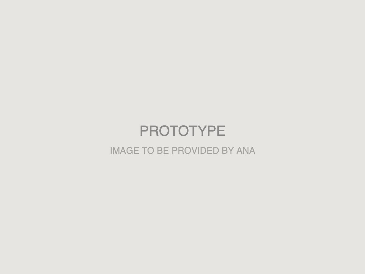 Prototype